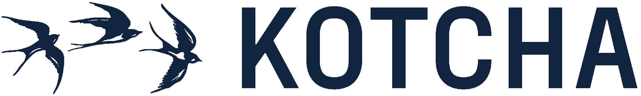 Kotcha